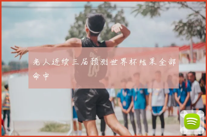 老人连续三届预测世界杯结果全部命中