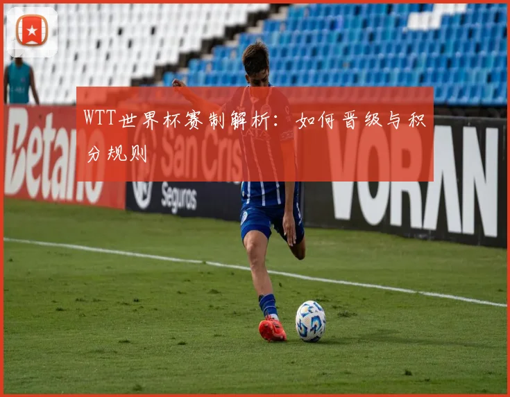 WTT世界杯赛制解析:如何晋级与积分规则
