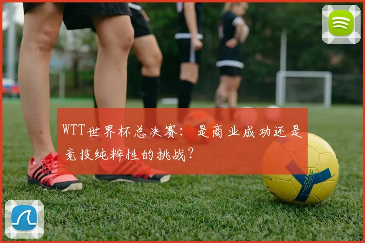 WTT世界杯总决赛:是商业成功还是竞技纯粹性的挑战?