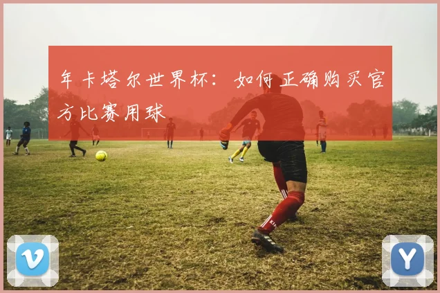 年卡塔尔世界杯：如何正确购买官方比赛用球