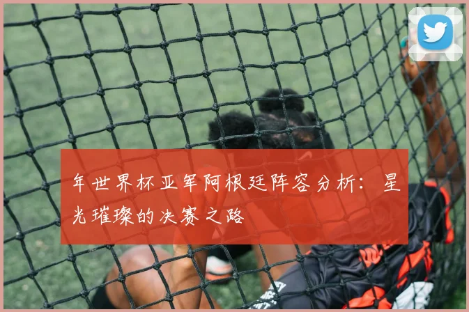 年世界杯亚军阿根廷阵容分析:星光璀璨的决赛之路