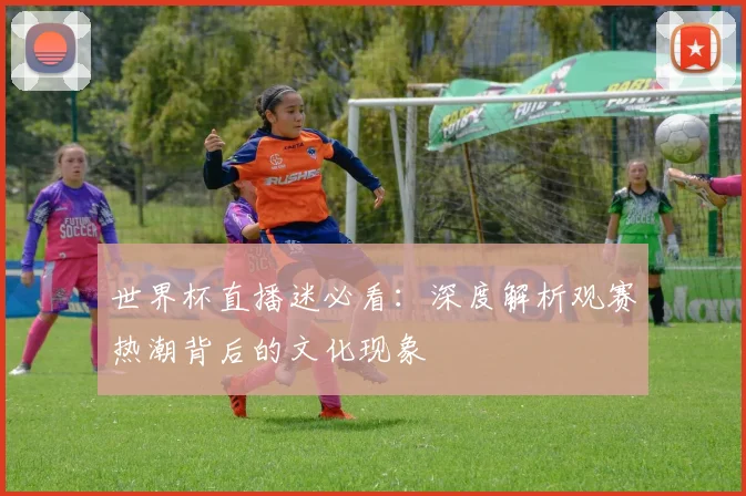 世界杯直播迷必看:深度解析观赛热潮背后的文化现象