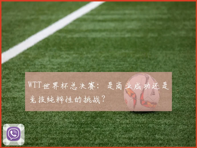 WTT世界杯总决赛：是商业成功还是竞技纯粹性的挑战？