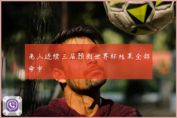 老人连续三届预测世界杯结果全部命中