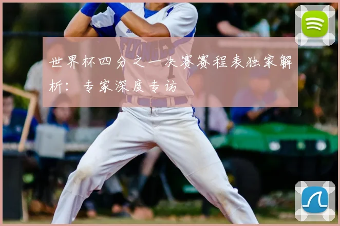 世界杯四分之一决赛赛程表独家解析：专家深度专访